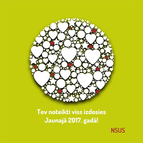 NSUS 2017 web